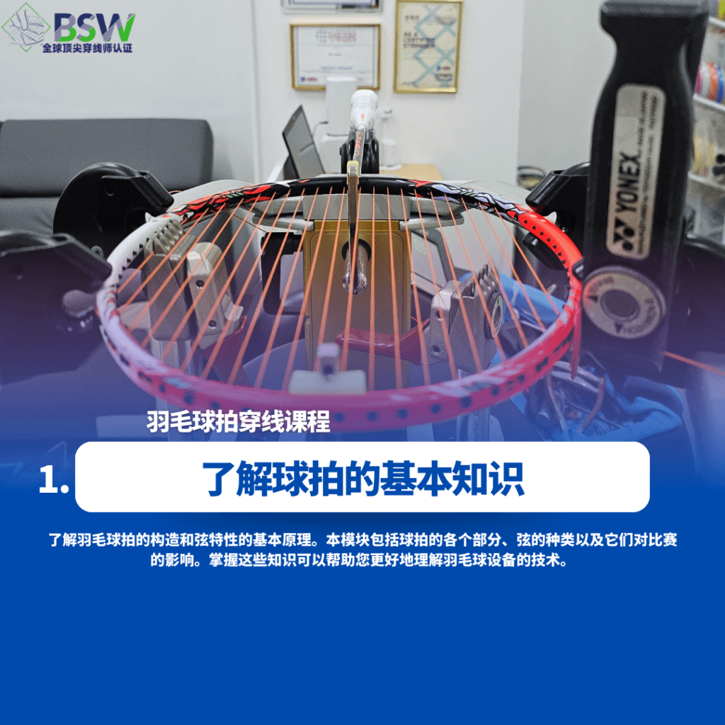 羽毛球穿线课程：球拍基础 BSW-racquet-fundamentals Best Stringer Worldwide 教练讲解羽毛球拍组件和线材类型