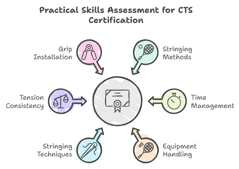 What does the practical skills assessment for the CTS certification involve BSW Best Stringer Worldwide Certification