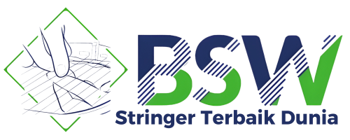 Stringer Terbaik Dunia (BSW)