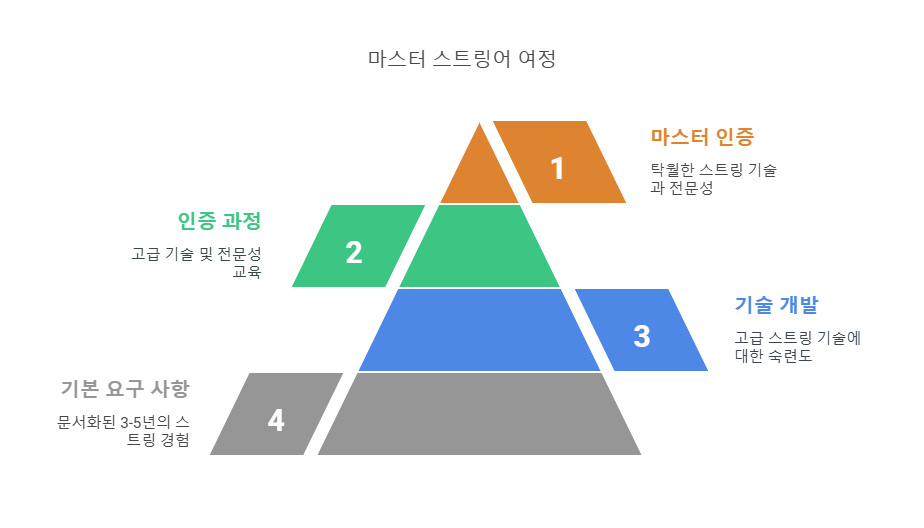 BSW 마스터 스트링어가 되는 방법